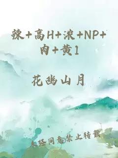 辣+高H+浓+NP+肉+黄1