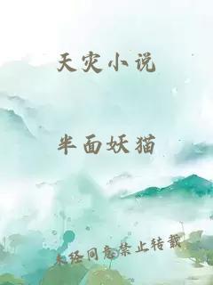 天灾小说