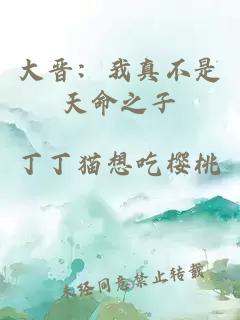 大晋：我真不是天命之子