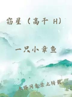 窃星（高干 H）