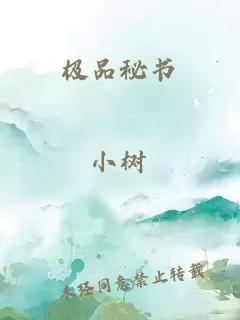 极品秘书